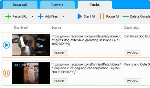 Social Media Downloader v8