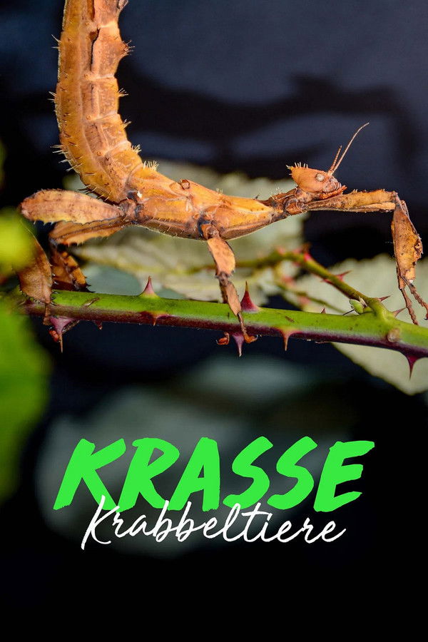 Krasse Krabbeltiere 2025 S01 GERMAN DOKU 1080p WEB x265 - TSCC