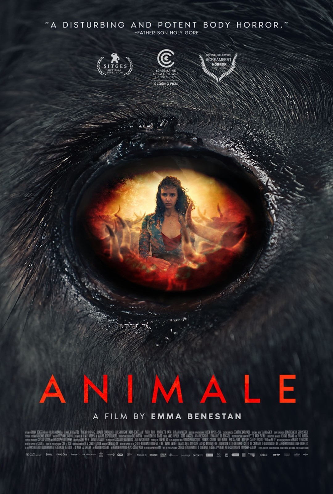 Animale 2024 MULTi COMPLETE UHD BLURAY - SharpHD