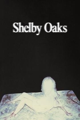 Shelby Oaks 2024 1080p BluRay x264 - KNiVES