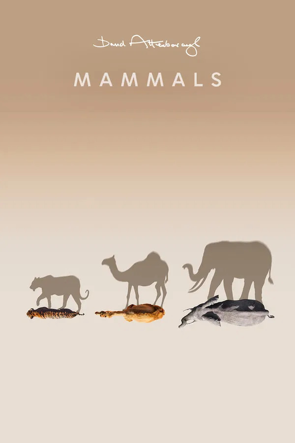 Mammals 2024 S01 COMPLETE GERMAN 1080P BLURAY H264 - UNDERTAKERS
