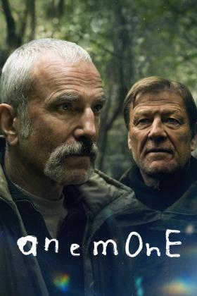 Anemone German 2025 AC3 BDRip x264 - TM