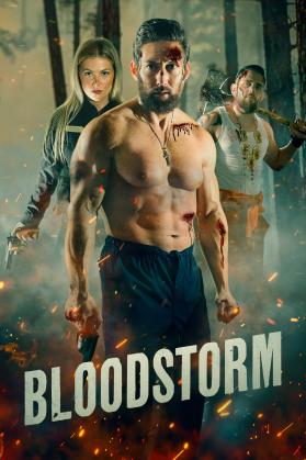 Bloodstorm German 2025 AC3 BDRip x264 - TM