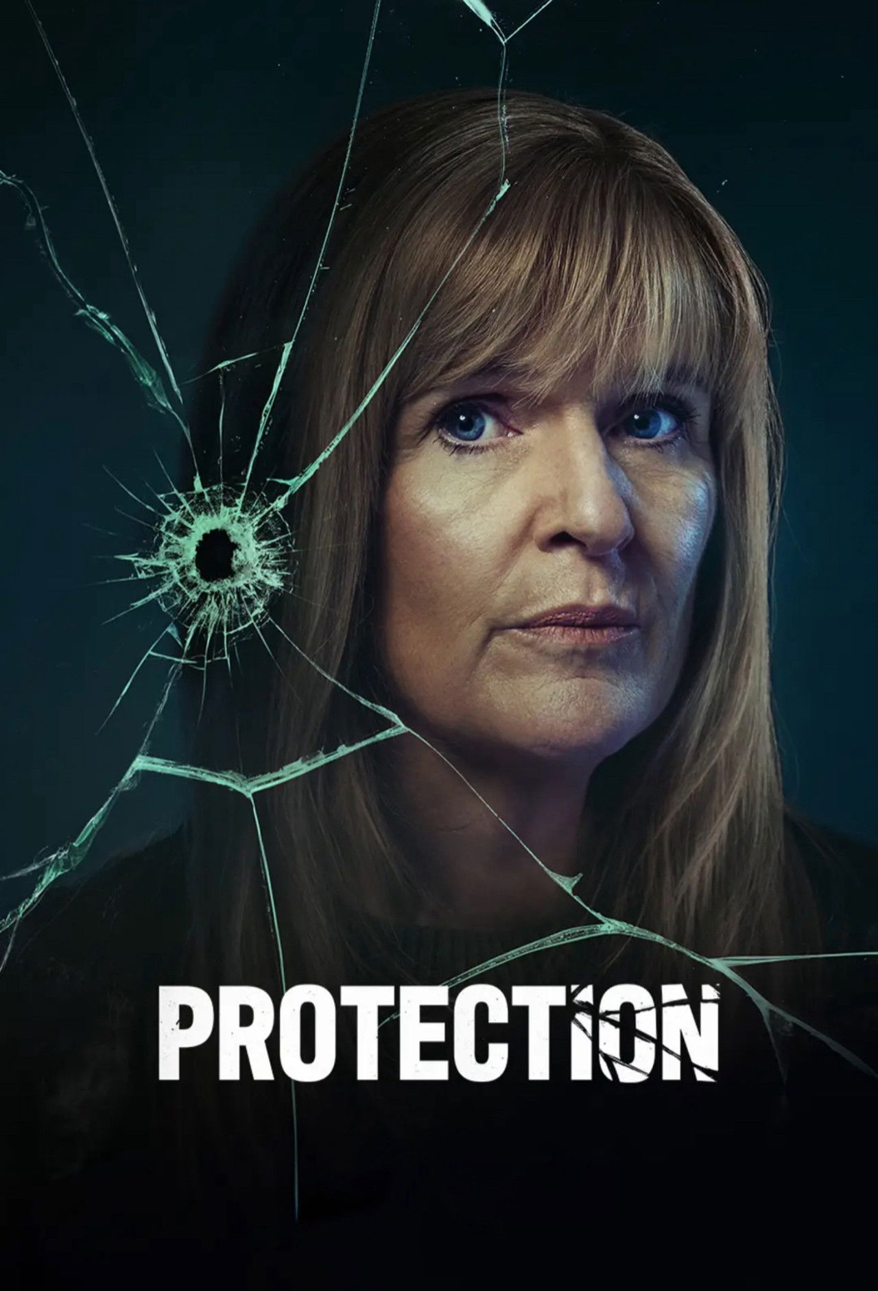 Protection S01 German DL 1080p WEB x264 - WvF