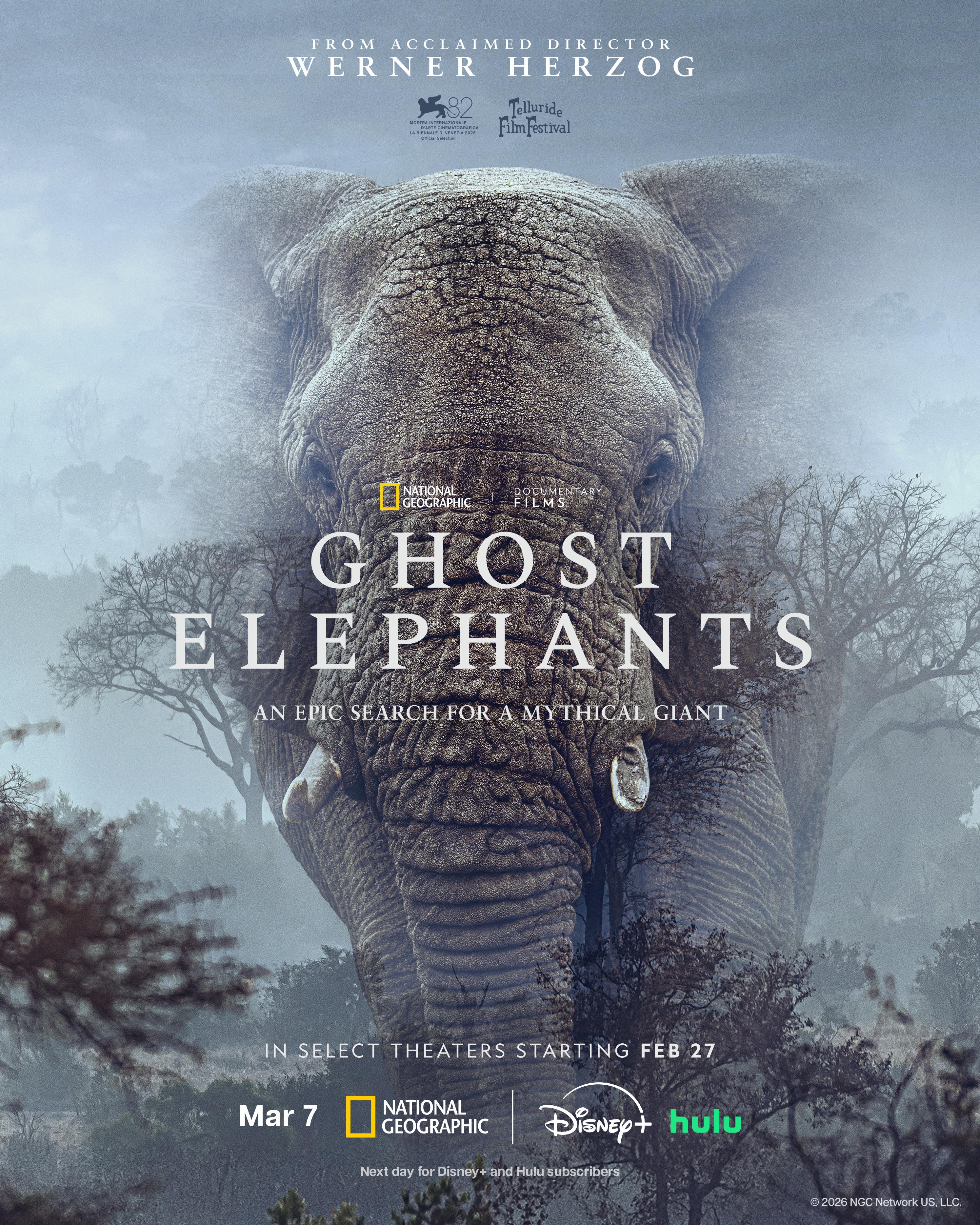 Ghost Elephants 2025 GERMAN DL DOKU 1080p WEB H264 - SYNERGiE