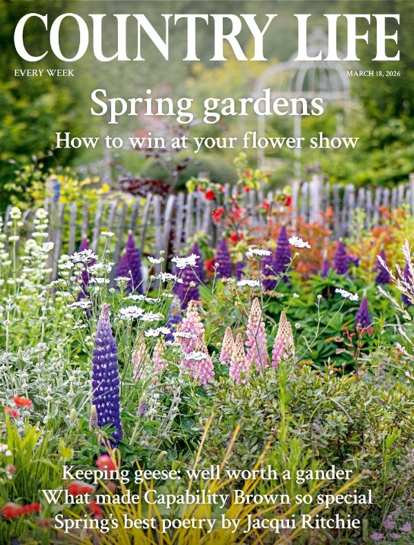 Country Life UK - March 18, 2026