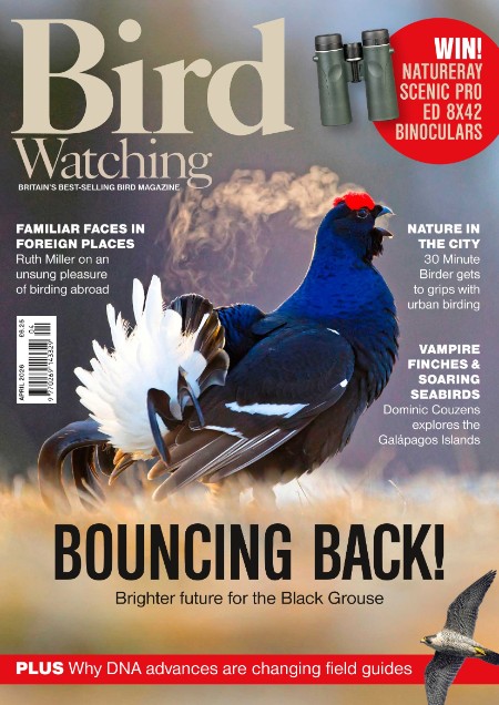 Bird Watching UK - April 2026