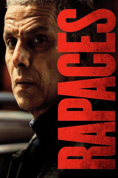 Vultures 2025 German DL WEBRip x264 - LD