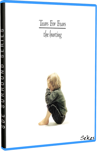 Tears For Fears - The Hurting (Anniversary Edition) (2023, Blu - ray Audio)