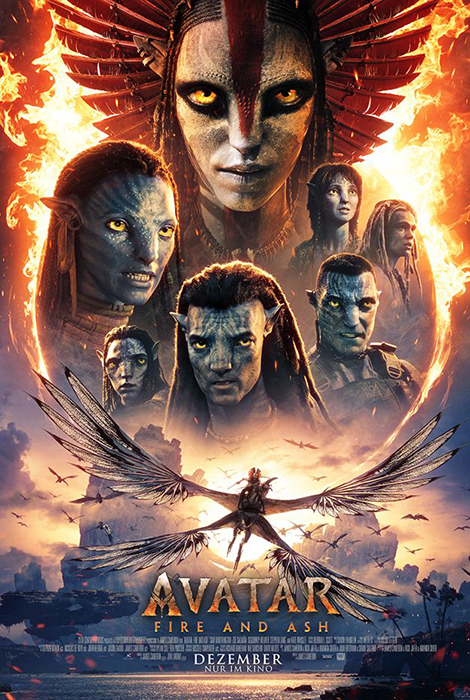 Avatar 3 Fire and Ash 2025 German AC3 480p WEBRip XviD - FND