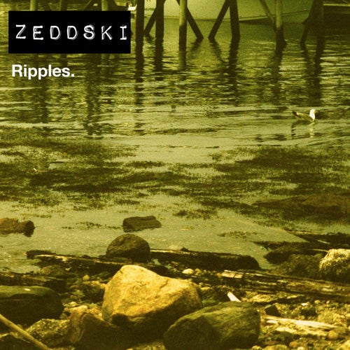 Zeddski - Ripples (2026)