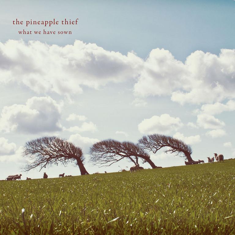 The Pineapple Thief What We Have Sown 2007 1080p PURE MBluRay h264 - TREBLE