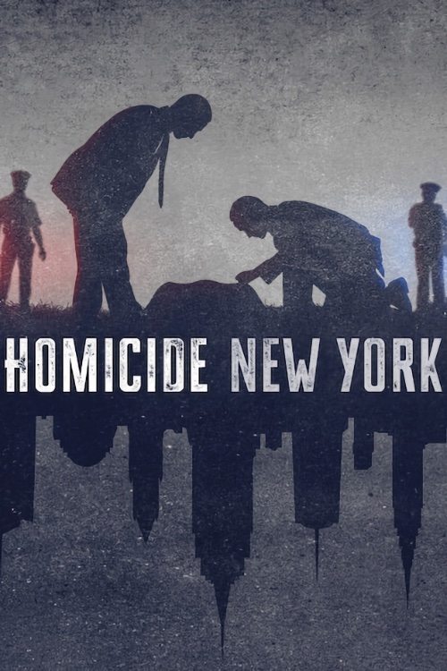 Homicide - New York S01 Complete E-AC3 1080p H265 - MiG