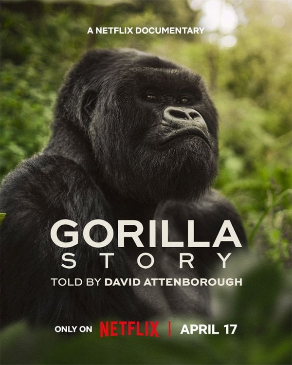 Eine Gorilla - Story erzaehlt von David Attenborough 2026 GERMAN DL DOKU 1080p WEB h264 - HAXE