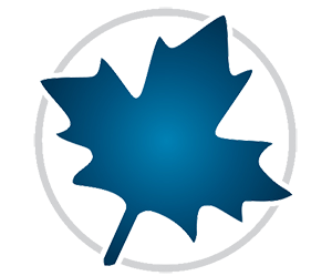 Maplesoft Maple 2026