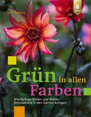 Lucy Bellamy – Grün in allen Farben