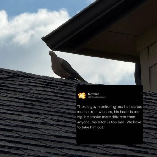 Southside Hoodlum - real (2026)