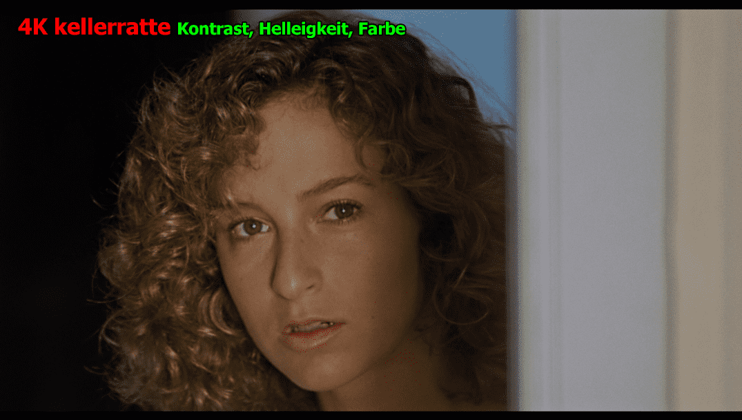 2-Dirty-Dancing-1987-kellerratte.png