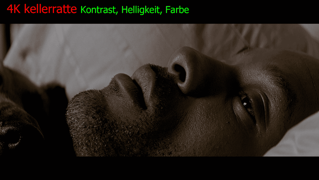 2-I-Am-Legend-2007-4-K-10-Bit-HDR-mkv-kellerratte.png