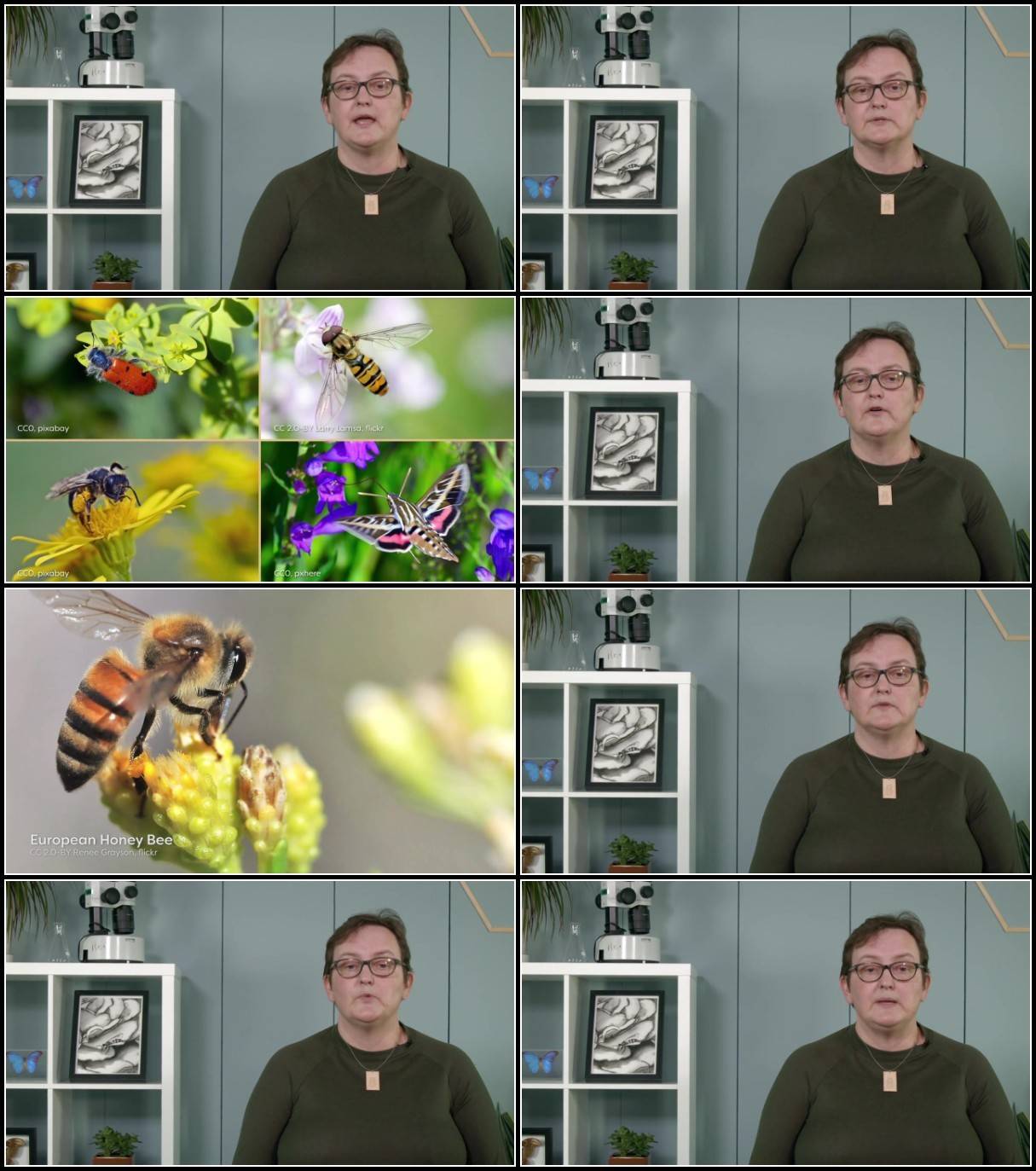 2GNTv8rN_o.jpg