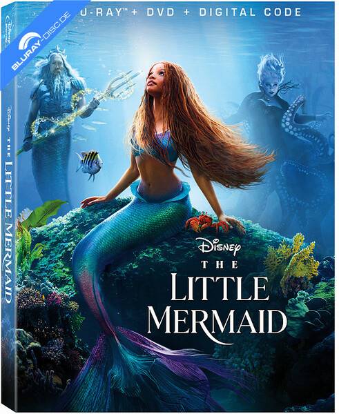 369091233_the-little-mermaid-20rnf6f.jpg