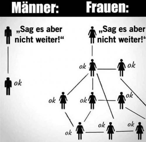 38474545fm.jpg