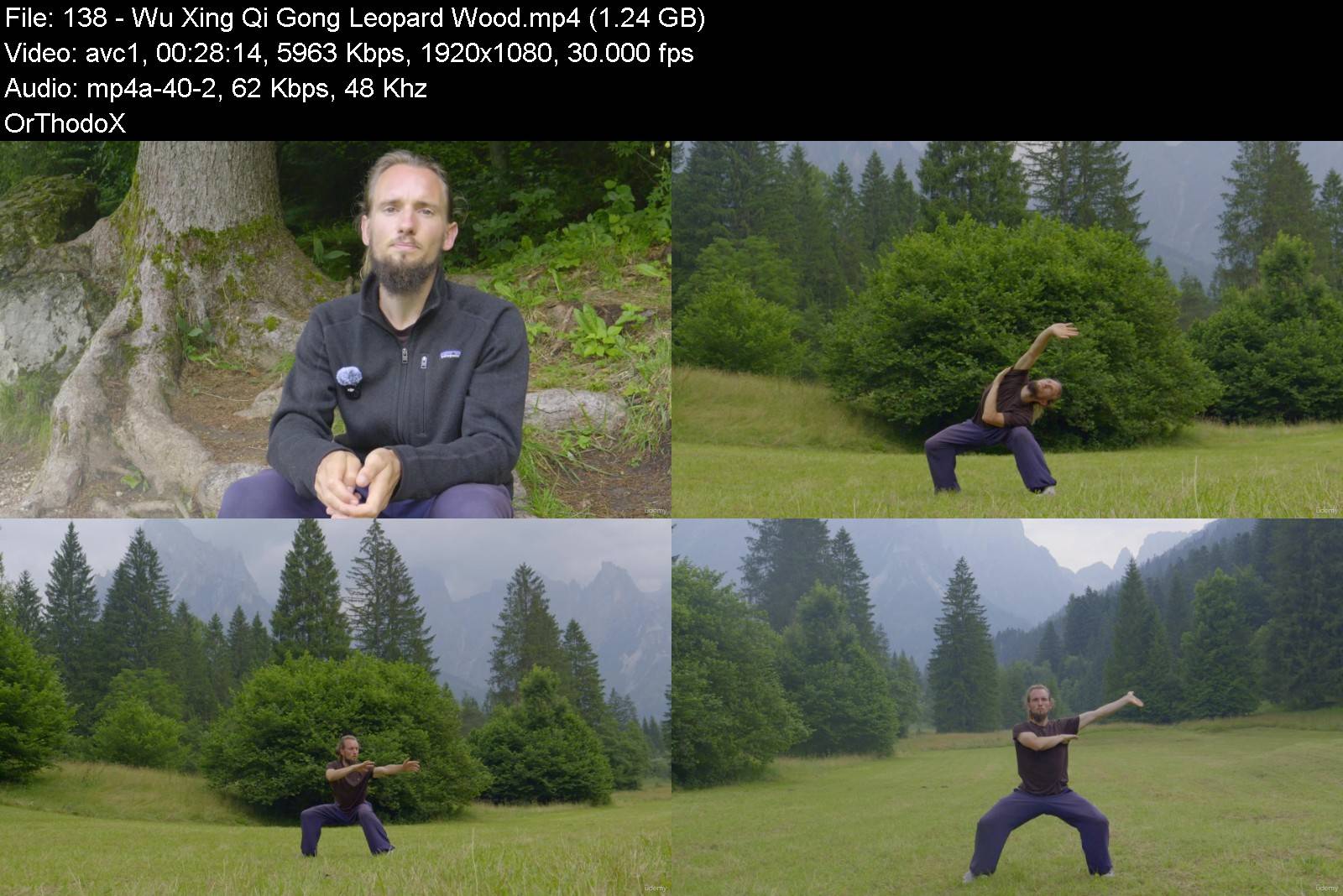 3_wudang_5_elements_qi_gong_revitalize_your_organs.jpg
