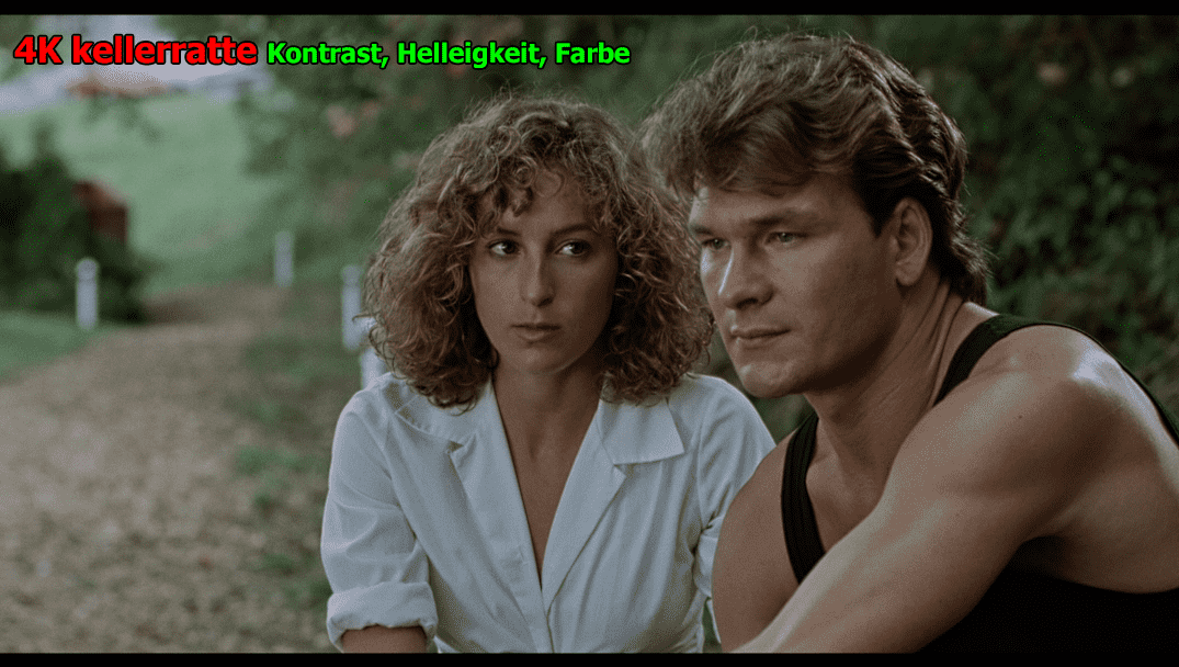 4-Dirty-Dancing-1987-kellerratte.png