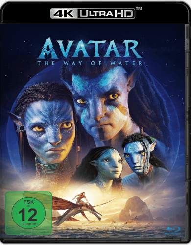 428346107_cover.png
