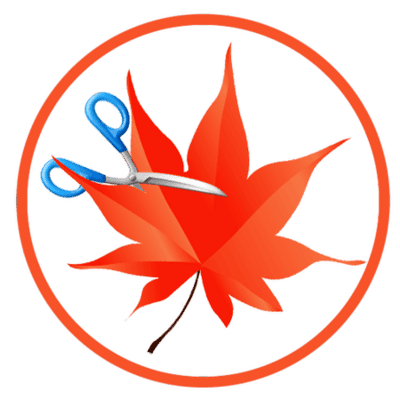 462a34526e3b7dca41a6f9ef6c2ae546.png