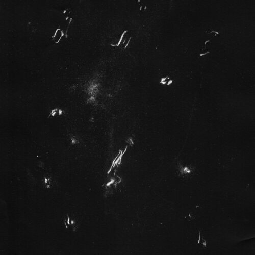 500x500-000000-80-0-0.jpg