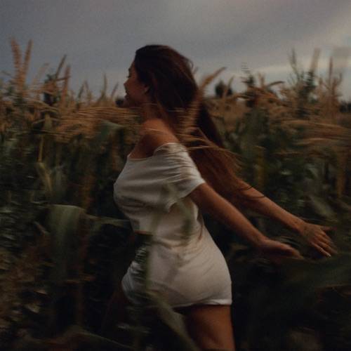 500x500bbvtdzw.jpg