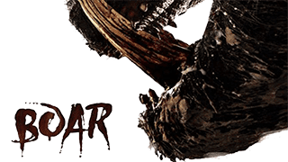 503-Boar-2018-U-4-K-clearart.png