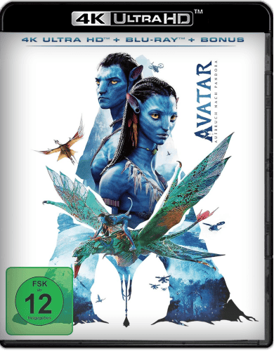 534498059_cover.png