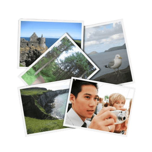 534537106_collage.png