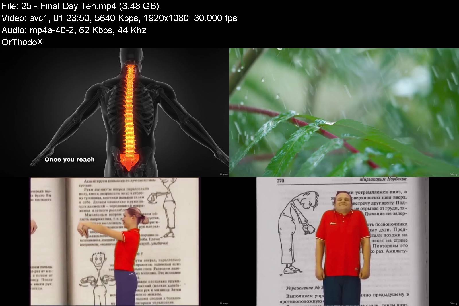 571512661_health_and_wellness_course.jpg
