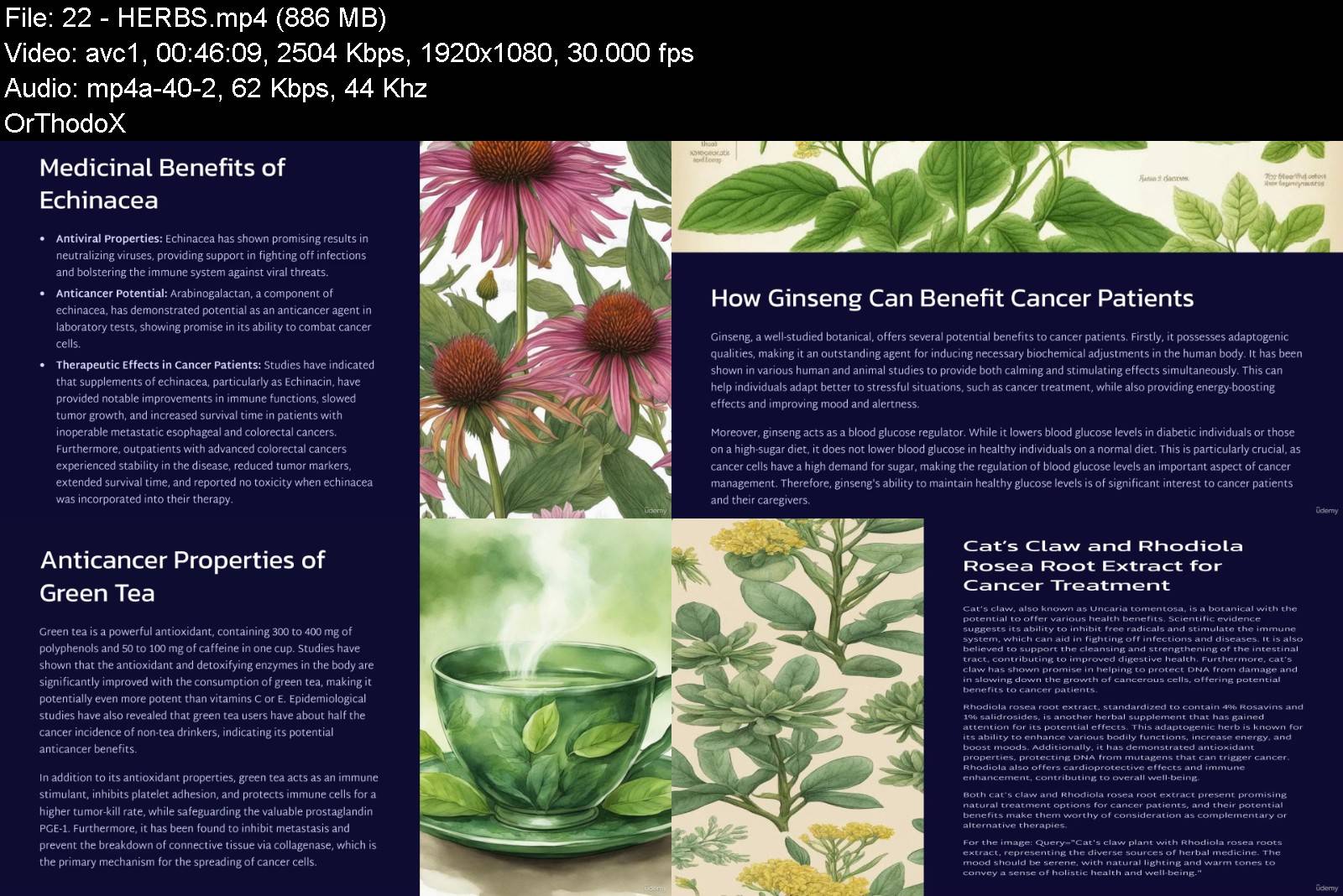 582824180_nutrition_strategies_for_fighting_cancer.jpg