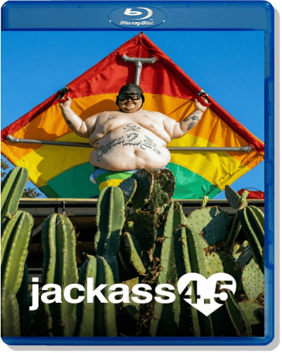 611426046_cover-4-5.png