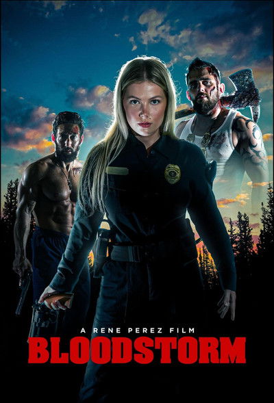 698923246_bloodstorm-german-2025-ac3-bdrip-x264-tm.jpg