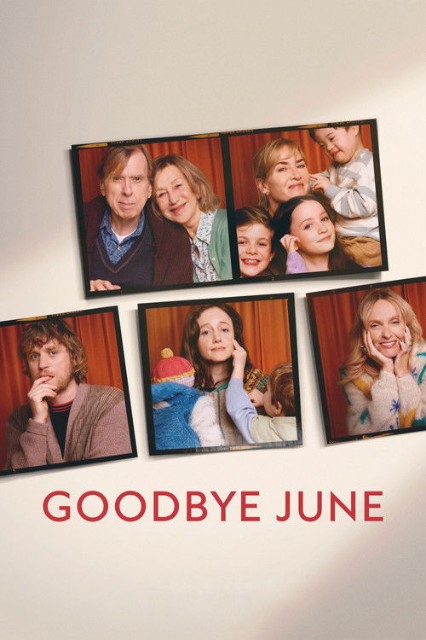 8067_goodbye-june-2025-german-dl-720p-web-x264-wvf.jpg