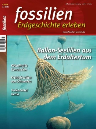 aa5eeeb89fe884bfba0d58e36aaf2ff6.jpg