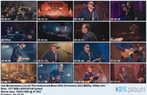 amassaliveatthehollywoodbowlwithorchestra2023bdrip.jpg