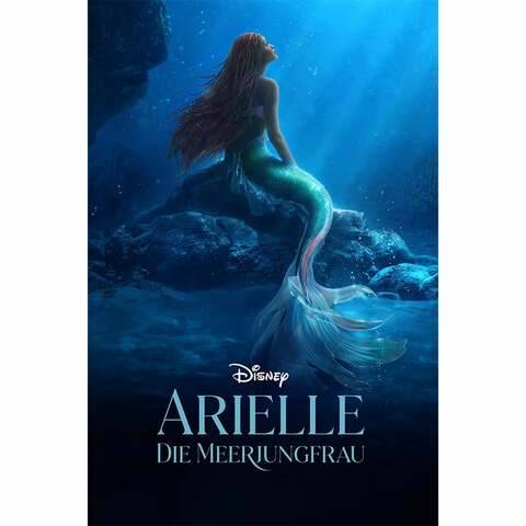 arielle-die-meerjungfc8fcn.jpg