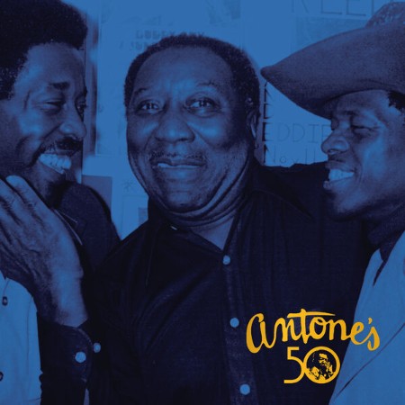 ars-Of-The-Blues-24-BIT-44-KHZ-WEB-FLAC-2025-OBZEN.jpg