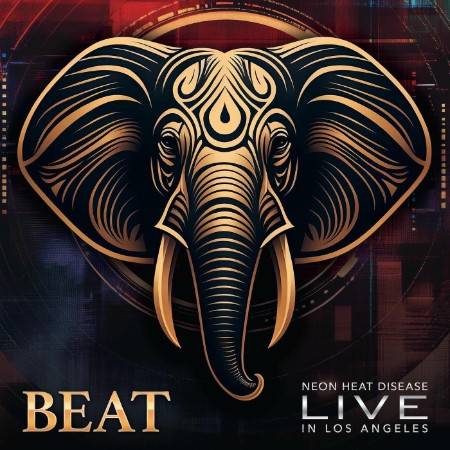 Beat-Live-WEB-2025-ENVi-ED.jpg