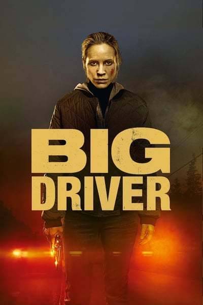 big.driver.2014.germa3tjuq.jpg