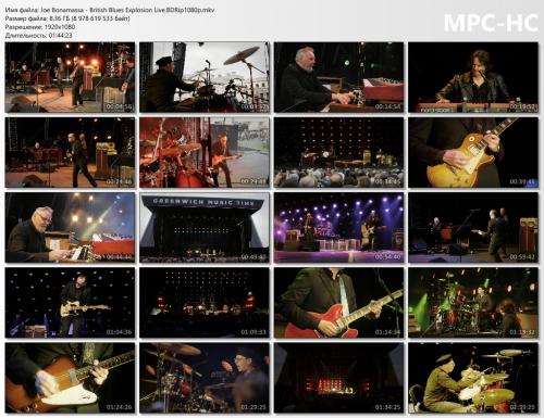 british-blues-explosion-live-bdrip1080p-mkv_thumbs.jpg