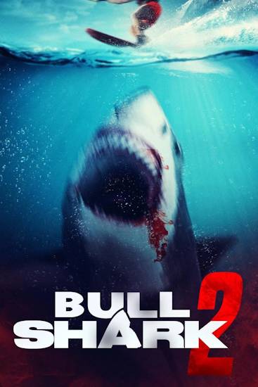 Bull-Shark-2.jpg