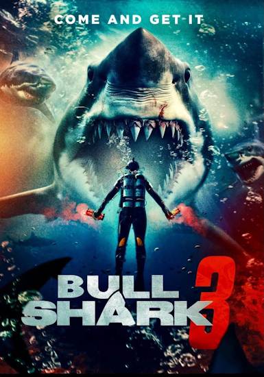 Bull-Shark-3.jpg
