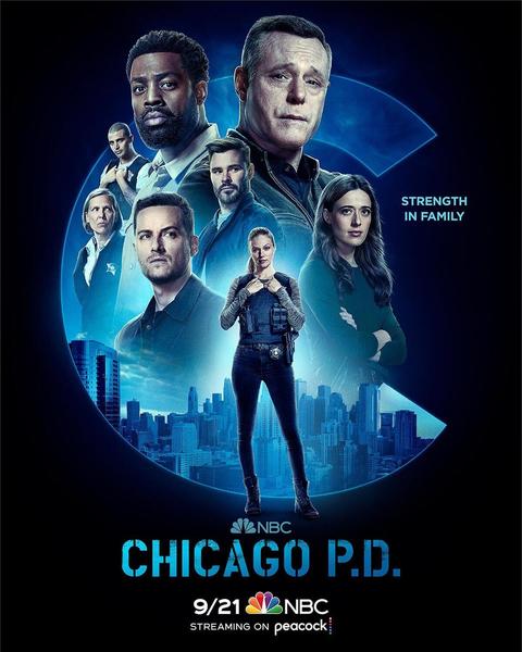 chicago-pd-ver4-xlg.jpg